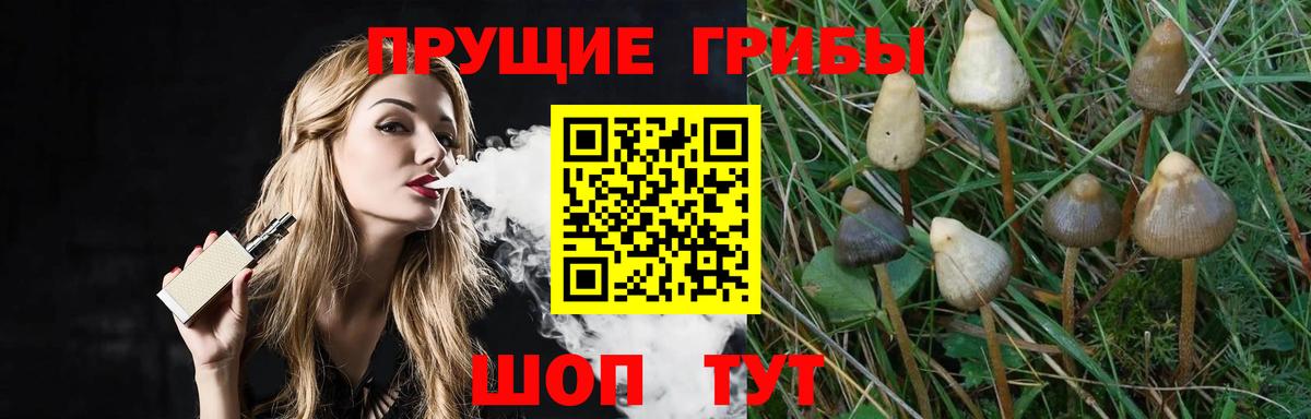 купить  цена  Галлюциногенные грибы Psilocybe  Вход с VPN  Первоуральск 